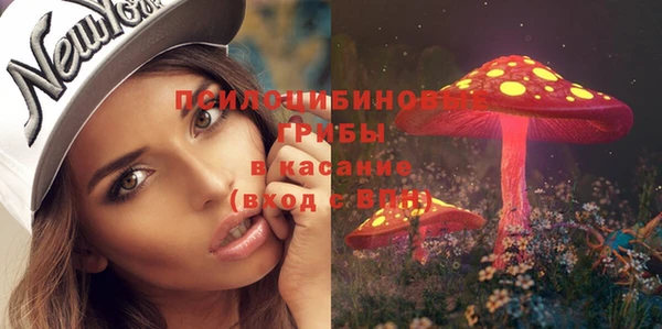 гидра Волосово